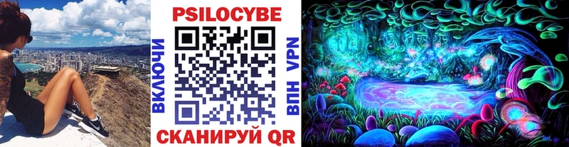 Галлюциногенные грибы прущие грибы  Вытегра 